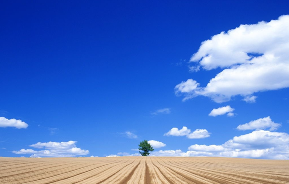 合肥市聚力“雙招雙引”，打造經(jīng)濟(jì)綠色增長極